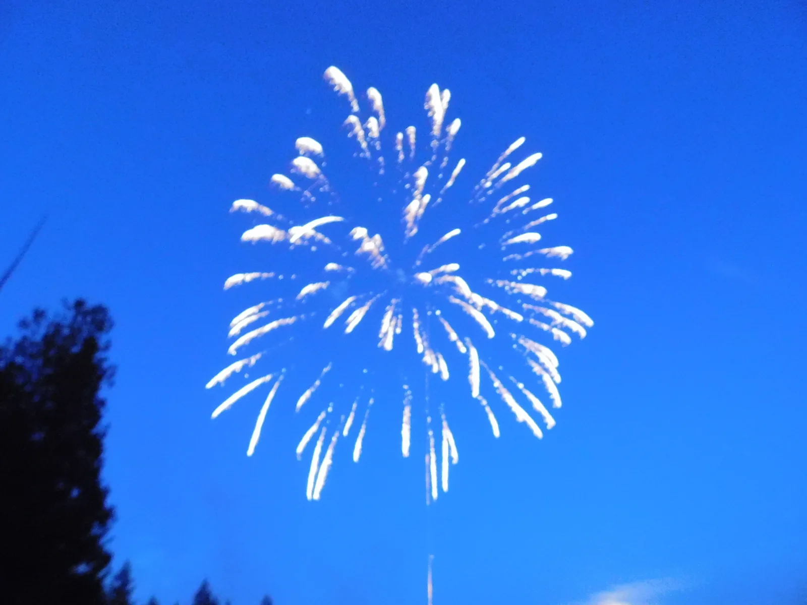 DSCN1846